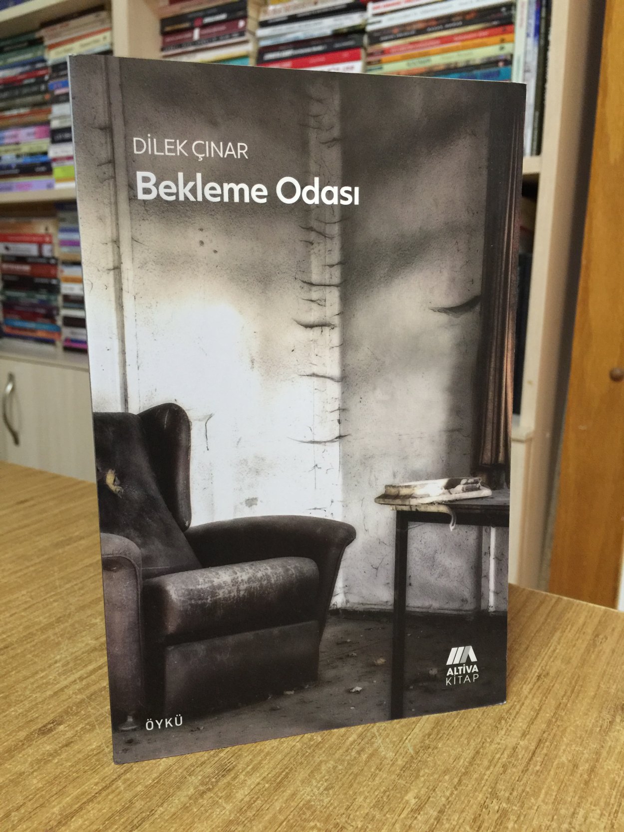 Bekleme Odası - Dilek Çınar