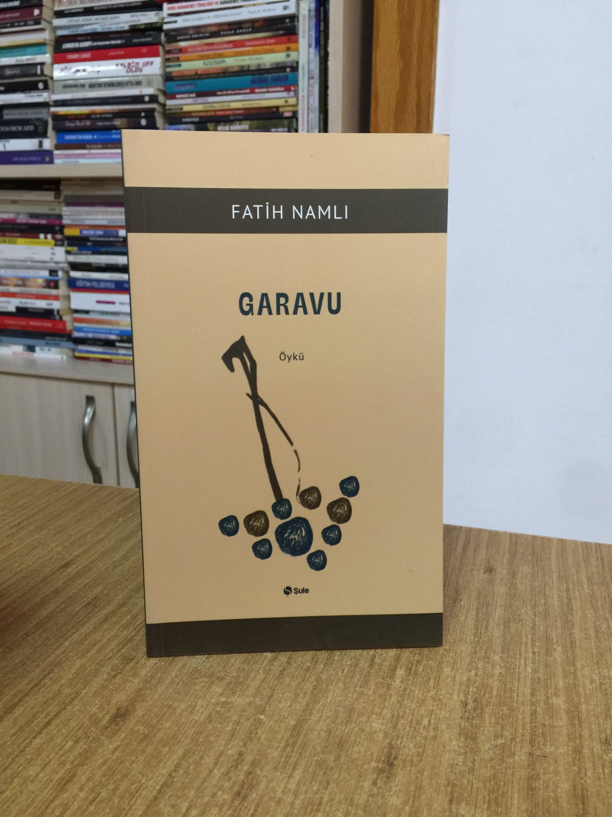 Garavu - Fatih Namlı