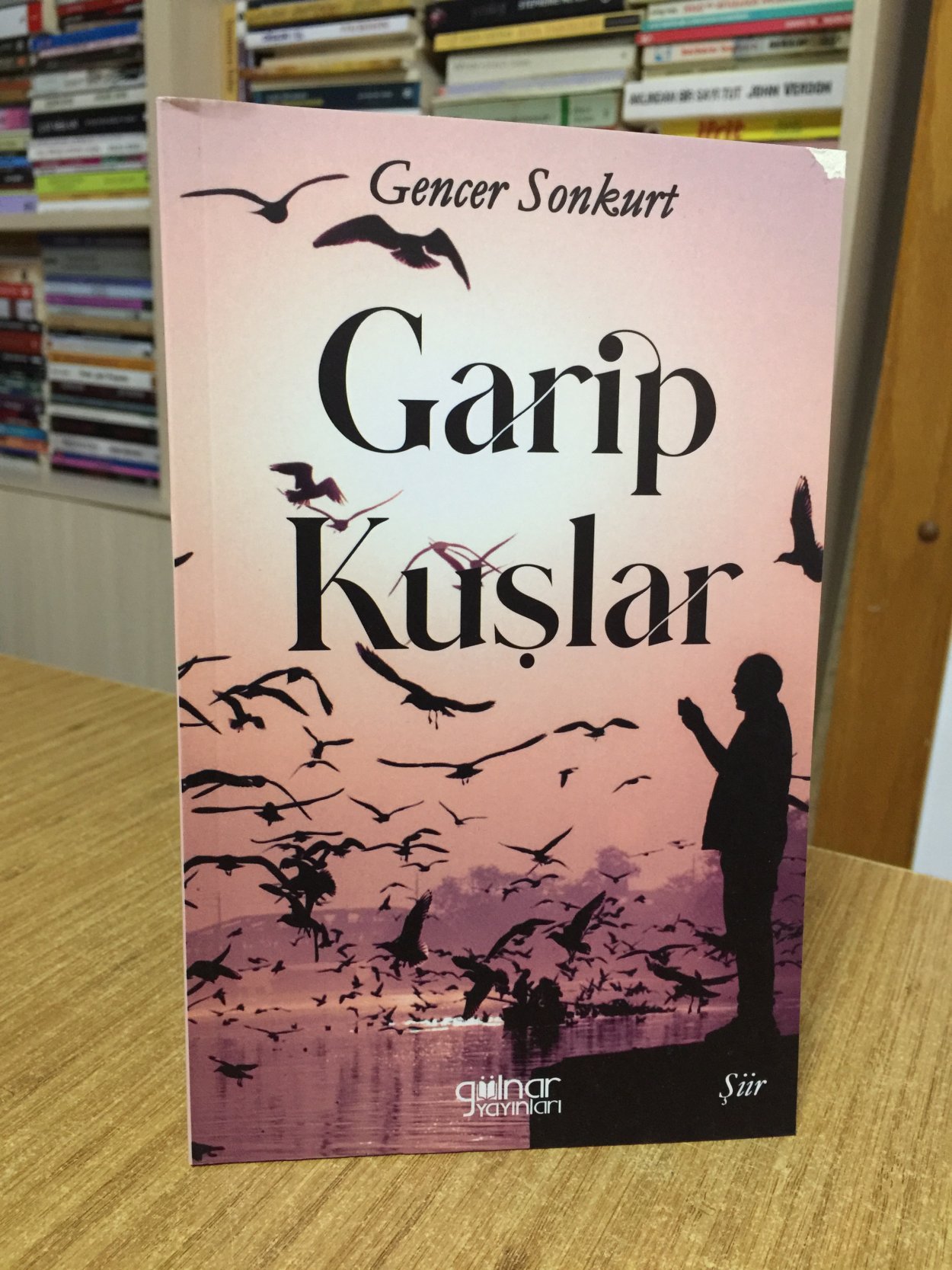 Garip Kuşlar - Gencer Sonkurt