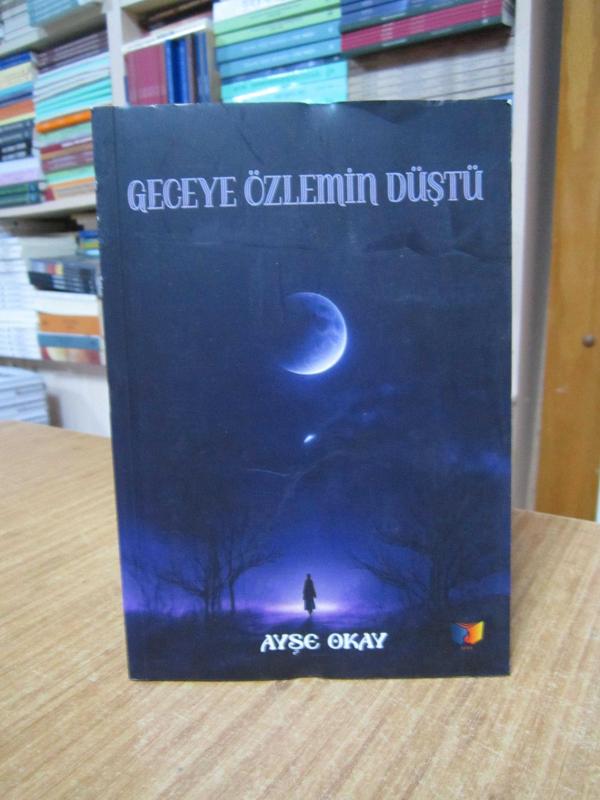 Geceye Özlemin Düştü - Ayşe Okay