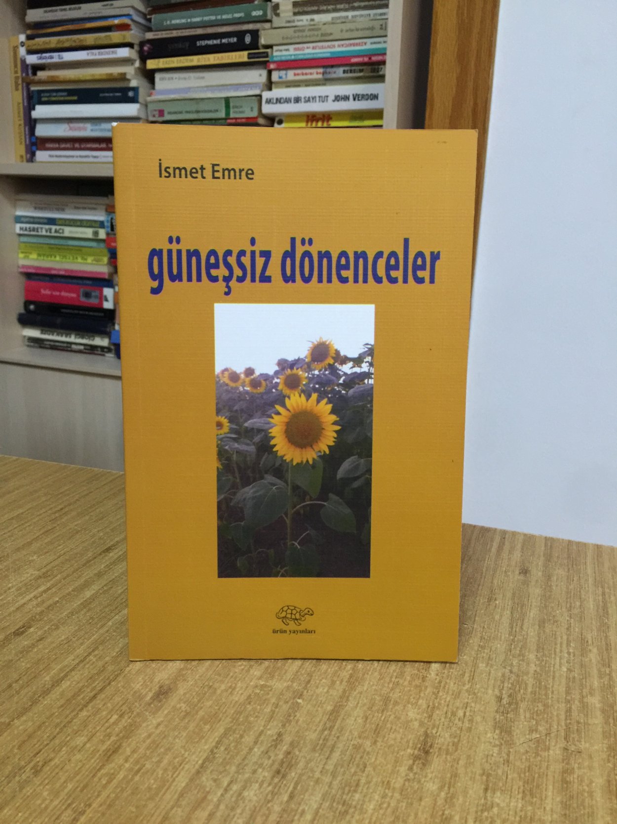 Güneşsiz Dönenceler - İsmet Emre