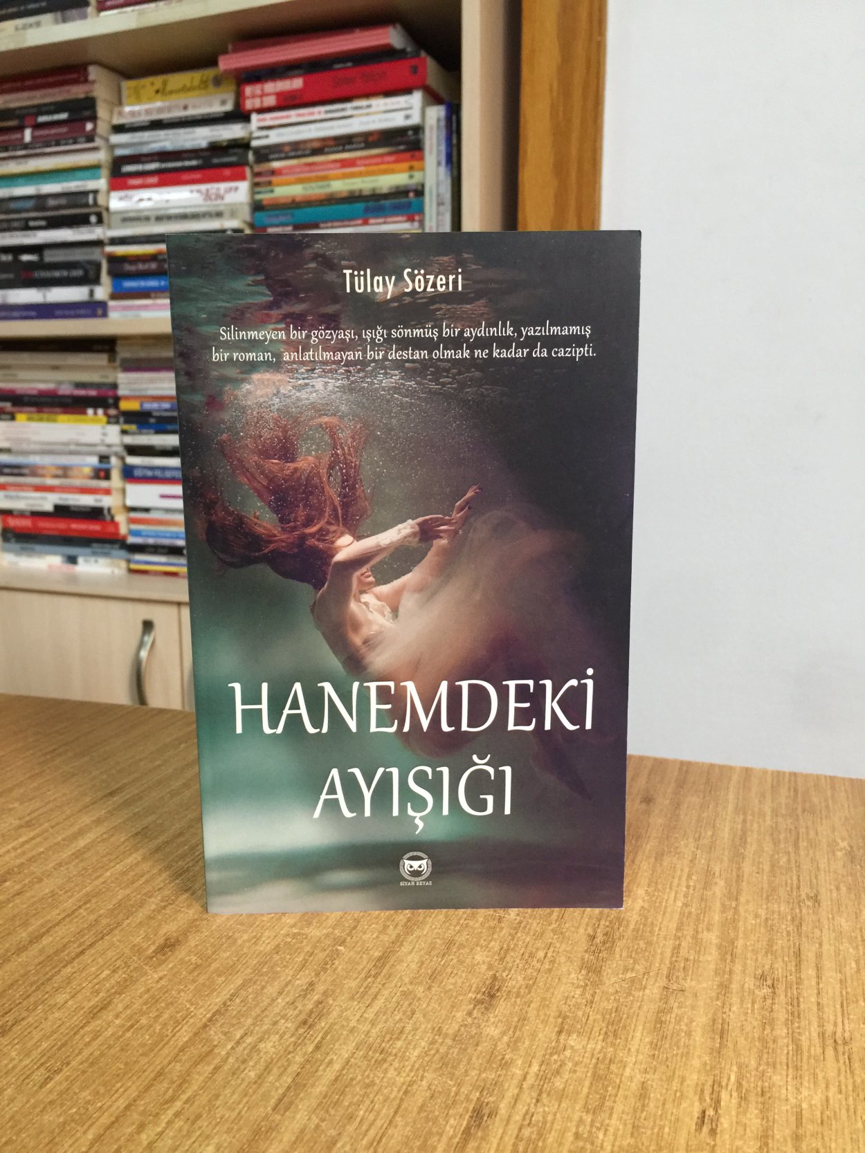 Hanemdeki Ayışığı - Tülay Sözeri