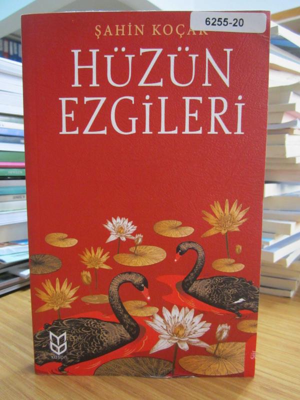Hüzün Ezgileri - Şahin Koçak