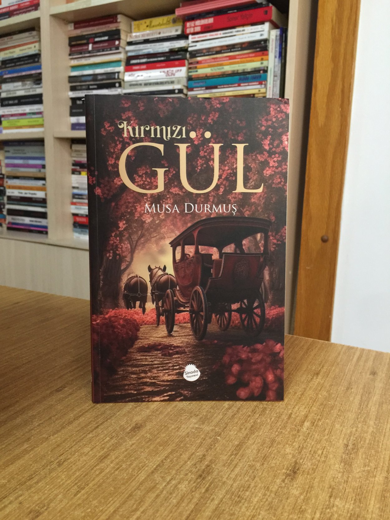 Kırmızı Gül - Musa Durmuş
