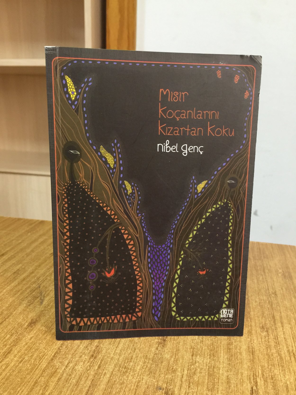 Mısır Koçanlarını Kızartan Koku - Nibel Genç