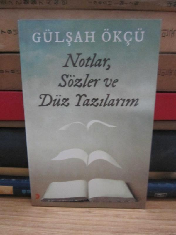 Notlar Sözler ve Düz Yazılarım