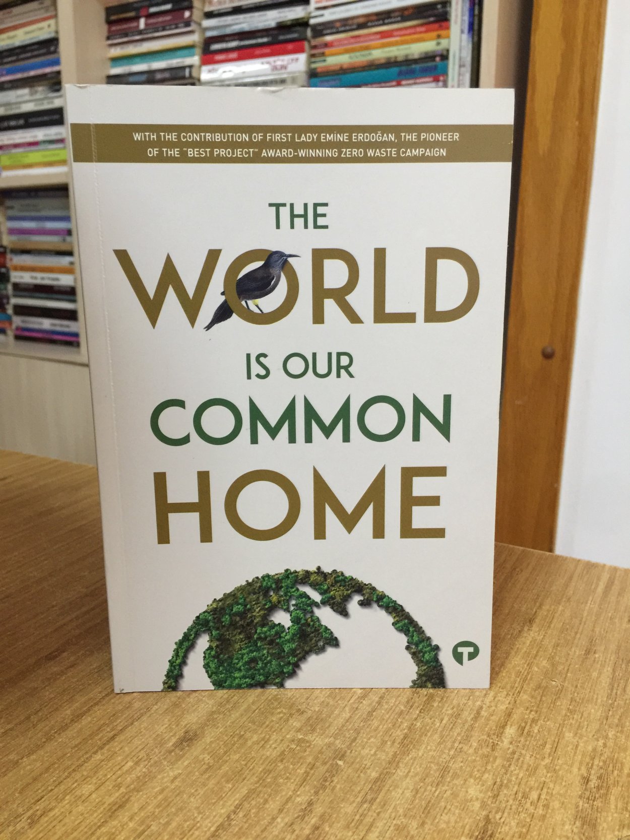 The World is Our Common Home 